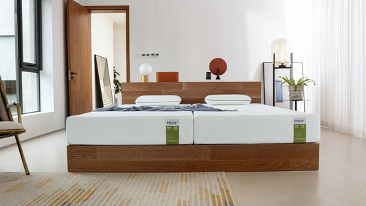 Mlily Matratze PRO Kaltschaum