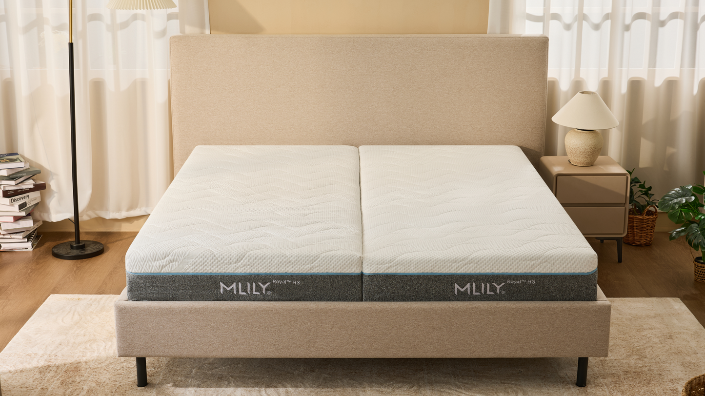 Mlily Royal Plus Taschenfederkernmatratze